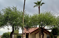 1941 E VELVET Drive, Tempe, AZ 85284