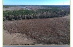 Wire Grass Road lot: 1, Orrum, NC 28369