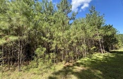 Irene Road, Summit, MS 39666