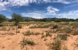 E Diamondback Road, Saint David, AZ 85630