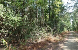 415 County Road 580, Call, TX 75933