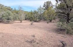 Side Hill Pass lot: 1-C, Pioche, NV 89043