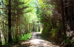 Stage Rd, NorthBend, OR 97459