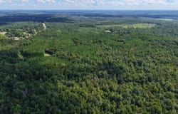 Provitt Road, Grady, AL 36036