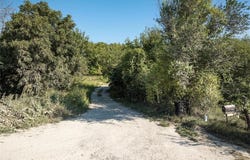 6155 Newton Road, Odessa, MO 64076