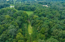 OLD BROWNSVILLE Rd, Somerville, TN 38068