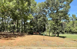 Easy St lot: 6, Frankston, TX 75763