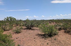 312 Washington St, Valentine, TX 79854