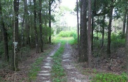 Parcel B Antioch Road, Crestview, FL 32536