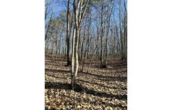 Music St S, Gretna, VA 24557