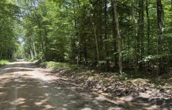 V/L S 35 Road, Cadillac, MI 49601