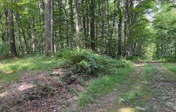 Briggs Rd, Remsen, NY 13438