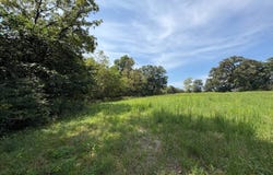 9161 Bohlman Rd, Concordia, MO 64020