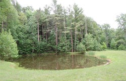 6383 Omphalius Road, Colden, NY 14033