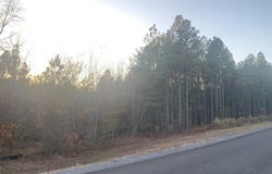 940 Crockett Point, Jasper, TN 37347
