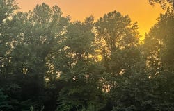 LOT 4 RENSBERGER Way, IJAMSVILLE, MD 21754