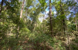 Live Oak, FL 32060