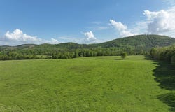 Polk Road 16, Cove, AR 71937