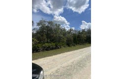 Parrot Road N, Weeki Wachee, FL 34614