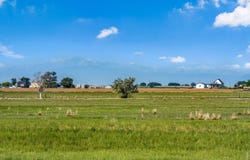 1 CR 74, Galeton, CO 80622