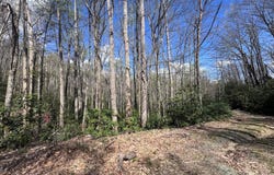 Red Clover Rd, Beech Mountain, NC 28622