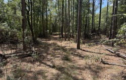 Goose Platter Road, Monetta, SC 29105