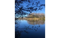 16279 CRESTVIEW Drive, MOUNTAIN, WI 54149