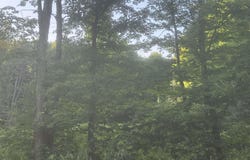 M69 Highway, Sagola, MI 49881