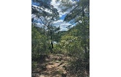 4 ACRE Gayle Way, Carrollton, VA 23314
