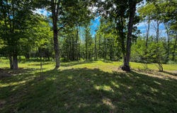 901 State Route 296, Jewett, NY 12444