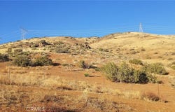 Rolandee Street, Acton, CA 93510