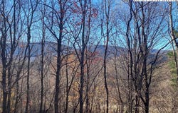 Clarence Lyall Road, West Jefferson, NC 28694