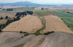 37+/- AC TBD Boller Rd., Potlatch, ID 83855