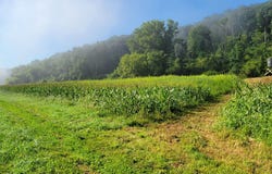 4795 County Road C, Spring Green, WI 53588