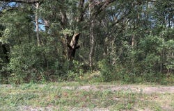 DEBRA Circle, Interlachen, FL 32148