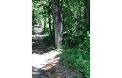 Auburn Road, Millbury, MA 01527