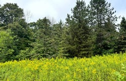 1.12 Brigham Rd, Richford, NY 13835