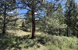 FIR Ln, CURLEW, WA 99118