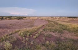Medano Rd SE, Deming, NM 88030