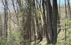 Porterfield Road, Philippi, WV 26416