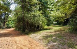 1317 N MAIN, Linden, TX 75563