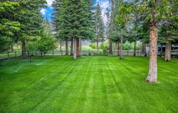 342 Settlers Road, Chester, CA 96020