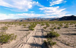 Mt Shasta Ave, Joshua Tree, CA 92252