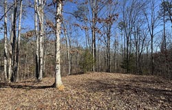Fox Trail Drive, Old Fort, TN 37362