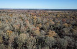 Arkadelphia, AR 71923