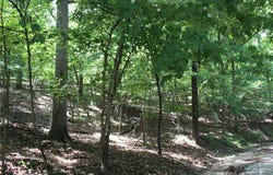 Karen Road, Gravois Mills, MO 65037