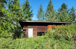29 YELLOW BRICK Rd, CURLEW, WA 99118