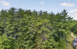 72 Riverhill Avenue, Concord, NH 03303