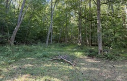Theo Proffitt Road, Manchester, KY 40962