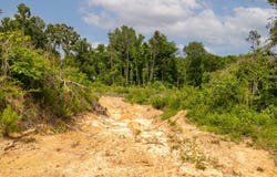 Danville Road, Hartselle, AL 35640